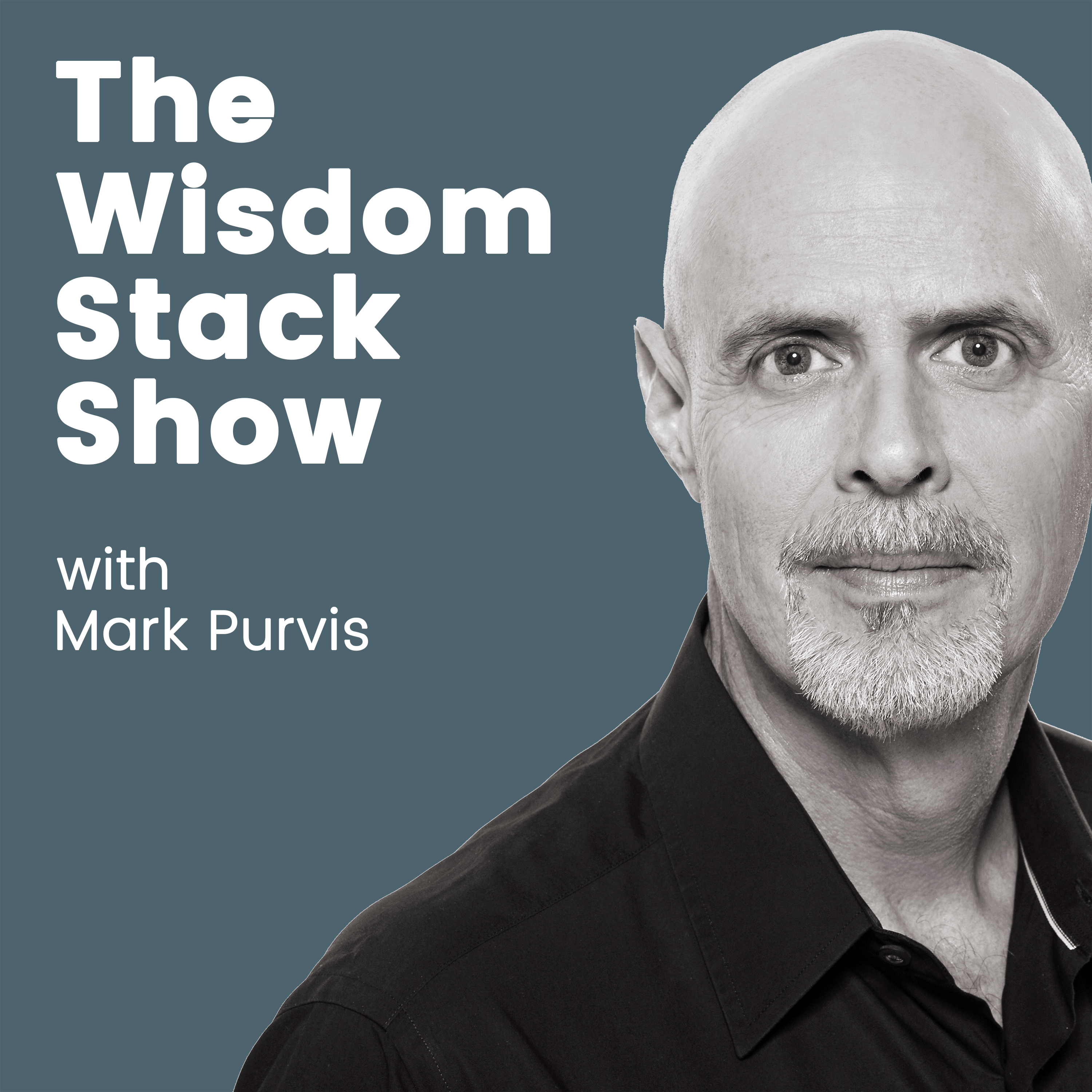 The Wisdom Stack Show with Mark Purvis